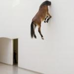 Horse in wall
