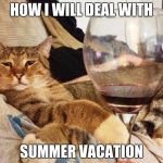 Wine Cat | HOW I WILL DEAL WITH; SUMMER VACATION | image tagged in wine cat | made w/ Imgflip meme maker