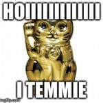 Golden pussy  | HOIIIIIIIIIIIII; I TEMMIE | image tagged in golden pussy | made w/ Imgflip meme maker