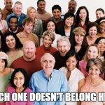 diversity | WHICH ONE DOESN'T BELONG HERE? | image tagged in diversity | made w/ Imgflip meme maker