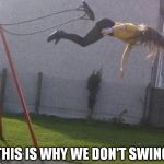 Swing | THIS IS WHY WE DON'T SWING | image tagged in swing | made w/ Imgflip meme maker