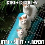 How to increase font size | CTRL + C, CTRL +V, CTRL + SHIFT + >, REPEAT | image tagged in size cats,cats,funny,funny cats,tips | made w/ Imgflip meme maker