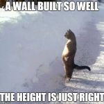 Maginificent! | A WALL BUILT SO WELL THE HEIGHT IS JUST RIGHT | image tagged in cats,funny,funny cats,wall,snow | made w/ Imgflip meme maker
