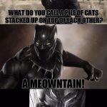 Bad Pun Black Panther, I Just Saw Civil War Too, Great Movie! | WHAT DO YOU CALL A PILE OF CATS STACKED UP ON TOP OF EACH OTHER? A MEOWNTAIN! | image tagged in bad pun black panther,memes,funny,bad pun,black panther,animals | made w/ Imgflip meme maker