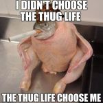 Chickenfish | I DIDN'T CHOOSE THE THUG LIFE; THE THUG LIFE CHOOSE ME | image tagged in chickenfish,scumbag | made w/ Imgflip meme maker