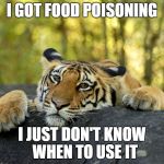 terrible tiger | I GOT FOOD POISONING; I JUST DON'T KNOW 
WHEN TO USE IT | image tagged in terrible tiger | made w/ Imgflip meme maker