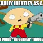 Stewie Aims Gun | I SEXUALLY IDENTIFY AS A GUN; SO THE WORD "TRIGGERED" TRIGGERS ME | image tagged in stewie aims gun | made w/ Imgflip meme maker