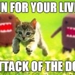 Kittens (I Only See One Though...) Running From Domo | RUN FOR YOUR LIVES, IT'S ATTACK OF THE DOMOS! | image tagged in kittens running from domo,memes,funny,animals,kitten,domo | made w/ Imgflip meme maker