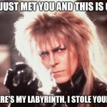 Labyrinth David Bowie | HEY, I JUST MET YOU AND THIS IS CRAZY; BUT HERE'S MY LABYRINTH, I STOLE YOUR BABY | image tagged in labrynth david bowie | made w/ Imgflip meme maker