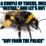 Like if you get it!!! | I HAVE A COUPLE OF TRICKS, INCLUDING "BUZZ," "NECTAR," AND LET'S NOT FORGET; "GUY FROM THE POLICE" | image tagged in bee with a stinga,but thats none of my business | made w/ Imgflip meme maker