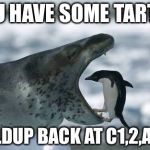 Funny seal | YOU HAVE SOME TARTAR; BUILDUP BACK AT C1,2,AND4 | image tagged in funny seal | made w/ Imgflip meme maker