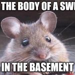 Don't let the cuteness fool you | I HAVE THE BODY OF A SWIMMER; IN THE BASEMENT | image tagged in cute but evil mouse,memes,killer | made w/ Imgflip meme maker