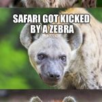 Bad Pun Hyena | OH LOOK A VACATIONER; SAFARI GOT KICKED BY A ZEBRA; NOW HE'S LION ON THE GROUND | image tagged in bad pun hyena | made w/ Imgflip meme maker