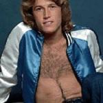 Andy Gibb meme