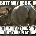 Hippo | MY BUTT MAY BE BIG BUT... I DON'T HEAR ANYONE SINGING ABOUT YOUR FLAT ONE! | image tagged in hippo | made w/ Imgflip meme maker