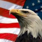 Murica Patriotic Eagle meme