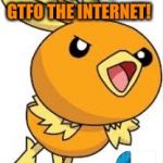 Don't liek mudkipz | YOU! GTFO THE INTERNET! | image tagged in torchic,mudkip | made w/ Imgflip meme maker