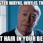 alfred | MASTER WAYNE, WHY IS THERE; CAT HAIR IN YOUR BED? | image tagged in alfred | made w/ Imgflip meme maker