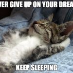 dreams | NEVER GIVE UP ON YOUR DREAMS; KEEP SLEEPING | image tagged in sleeping cat,dreams,funny meme,sleeping,giving up | made w/ Imgflip meme maker