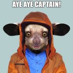 aye aye | AYE AYE CAPTAIN! | image tagged in aye aye | made w/ Imgflip meme maker