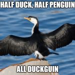 Duckguin | HALF DUCK, HALF PENGUIN; ALL DUCKGUIN | image tagged in duckguin | made w/ Imgflip meme maker