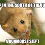 Dormouse | DEEP IN THE SOUTH OF THE JUNGLE; A DORMOUSE SLEPT | image tagged in dormouse | made w/ Imgflip meme maker