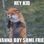 FOX WANNA BUY | HEY KID; WANNA BUY SOME FRIES | image tagged in fox wanna buy | made w/ Imgflip meme maker
