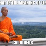 Meaning of life Monk | WHAT IS THE MEANING OF LIFE? CAT VIDEOS. | image tagged in meaning of life monk | made w/ Imgflip meme maker