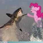 Pinkie pie shark meme