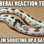 Snake Eating Itself | LIBERAL REACTION TO A; MUSLIM SHOOTING UP A GAY BAR | image tagged in snake eating itself | made w/ Imgflip meme maker