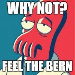 Zoidberg 2016 | WHY NOT? FEEL THE BERN | image tagged in zoidberg 2016 | made w/ Imgflip meme maker