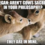 cute cows | VEGAN: AREN'T COWS SACRED IN YOUR PHILOSOPHY? THEY ARE IN MINE. | image tagged in cute cows | made w/ Imgflip meme maker