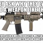 Ar15 | THEY ASK WHY THEY EVEN NEED A WEAPON LIKE THAT? HAVE YOU EVER SEEN A WELL REGULATED MILITIA DEFENDING THEMSELVES WITH SLINGSHOTS AND BB GUNS? ME NEITHER | image tagged in ar15 | made w/ Imgflip meme maker