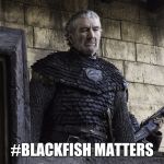 Blackfish | #BLACKFISH MATTERS | image tagged in blackfish | made w/ Imgflip meme maker