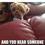 Cute Puppy | WHEN YOU'RE TAKING A NAP; AND YOU HEAR SOMEONE MENTION PIZZA | image tagged in cute puppy | made w/ Imgflip meme maker