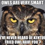 flight crew night owl meme