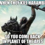 Harambe | WHEN THEY KILL HARAMBE; SO YOU COME BACK IN PLANET OF THE APES | image tagged in harambe | made w/ Imgflip meme maker