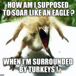Beer Belly Slug | HOW AM I SUPPOSED TO SOAR LIKE AN EAGLE ? WHEN I'M SURROUNDED BY TURKEYS ! | image tagged in beer belly slug | made w/ Imgflip meme maker
