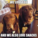 We love snacks!  | WE LOVE YOU; AND WE ALSO LOVE SNACKS | image tagged in chuckie the chocolate lab,snacks,funny memes,funny dogs,labrador | made w/ Imgflip meme maker