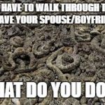 Snakes | YOU HAVE TO WALK THROUGH THIS, TO SAVE YOUR SPOUSE/BOYFRIEND... WHAT DO YOU DO?? | image tagged in snakes | made w/ Imgflip meme maker