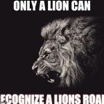 Lion | ONLY A LION CAN; RECOGNIZE A LIONS ROAR | image tagged in lion | made w/ Imgflip meme maker