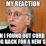 Larry David Shocked | MY REACTION; WHEN I FOUND OUT CURB WAS COMING BACK FOR A NEW SEASON! | image tagged in larry david shocked | made w/ Imgflip meme maker