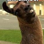 10 Llama | WHEN I EAT GRASS, IT'S LIKE I AM GIVING THE WORLD A HAIRCUT | image tagged in llama | made w/ Imgflip meme maker