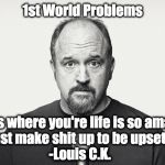 1st World Problems | 1st World Problems; "That's where you're life is so amazing so you just make shit up to be upset about."; -Louis C.K. | image tagged in 1st world problems,white people problems,louis ck,comedy central,truth | made w/ Imgflip meme maker