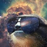 SpaceSloth | IF AT FIRST YOU DON'T SUCCEED; DEAL WITH IT | image tagged in spacesloth | made w/ Imgflip meme maker