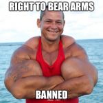 Bear arms | RIGHT TO BEAR ARMS; BANNED | image tagged in bear arms | made w/ Imgflip meme maker