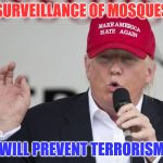 New Trump Hat | SURVEILLANCE OF MOSQUES; WILL PREVENT TERRORISM | image tagged in new trump hat | made w/ Imgflip meme maker
