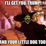 Witch Hillary | I'LL GET YOU, TRUMP! AND YOUR LITTLE DOG TOO! | image tagged in witch hillary | made w/ Imgflip meme maker