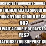 2nd Amendment | DO YOU THINK THE MENTALLY ILL SHOULD BE SOLD GUNS? DO YOU THINK SUSPECTED TERRORISTS SHOULD BE SOLD GUNS? DO YOU THINK FELONS SHOULD BE SOLD GUNS? NO? OK,  CAN YOU WAIT A COUPLE OF DAYS FOR YOUR GUN? YES? CONGRATULATIONS! YOU SUPPORT GUN CONTROL! | image tagged in 2nd amendment | made w/ Imgflip meme maker