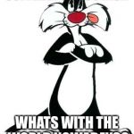 Sylvester the Cat | SUFFERIN SUCCOTASH; WHATS WITH THE WORLD NOWADAYS? | image tagged in sylvester the cat | made w/ Imgflip meme maker